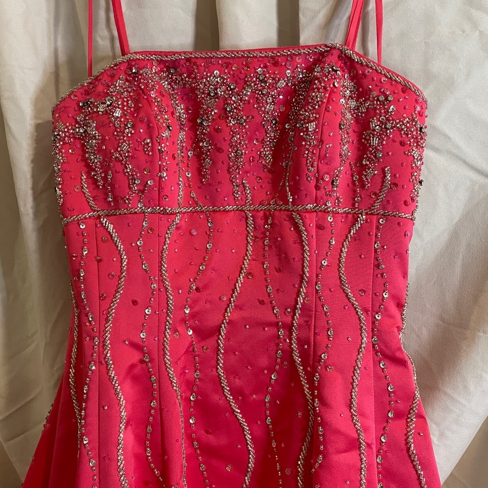 Caché Pink Princess Tie Back Gown